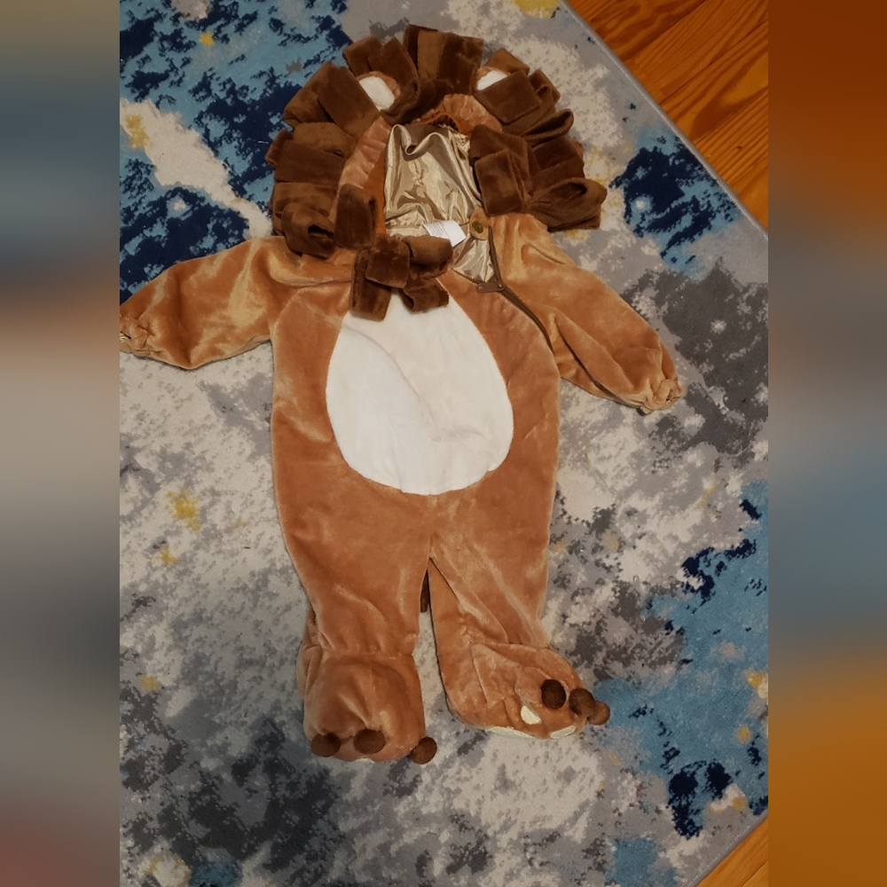 Baby lion costume